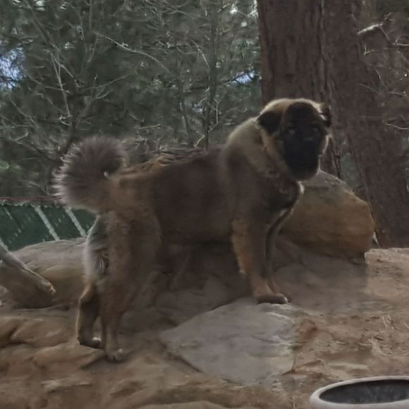 Meet your Posher, Chris - Picture 1 of 1